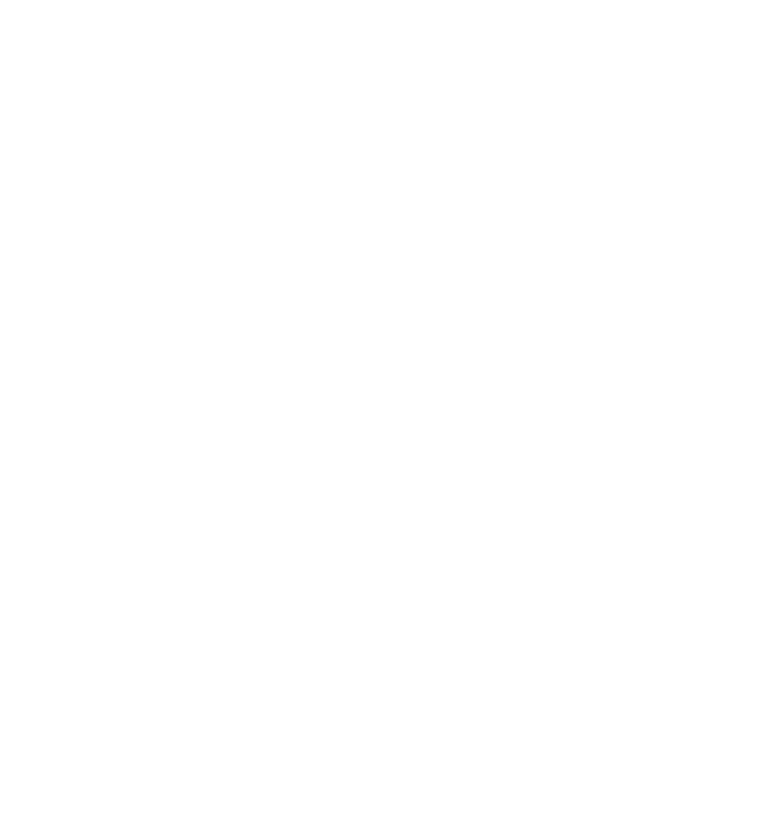 Lodestone Consulting